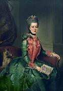 Johann Georg Ziesenis Portrait of Princess Frederika Sophia Wilhelmina oil painting reproduction